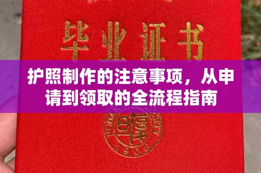 册亨护照制作的注意事项，从申请到领取的全流程指南
