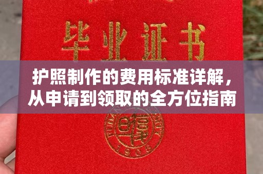 兴平护照制作的费用标准详解，从申请到领取的全方位指南